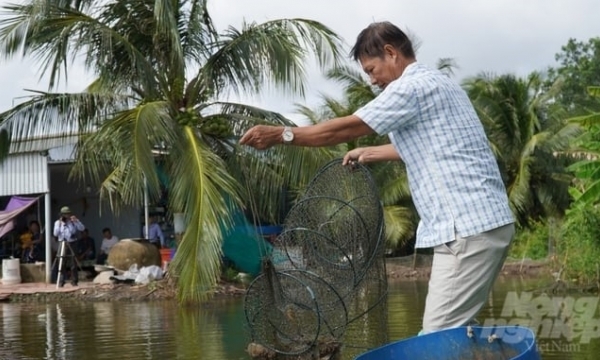 Greenhouse gas emissions from extensive shrimp farming ponds decreased by 17%